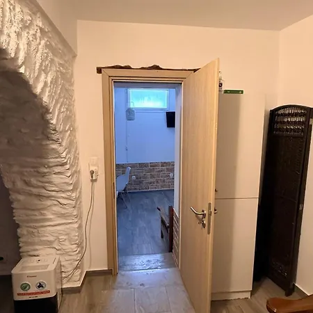 公寓 Olga's House D 基斯诺斯